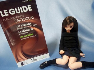 Le_Guide_de_Chocolat.jpg