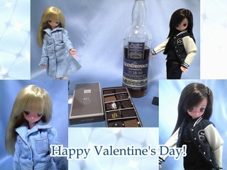 St_Valentines_2011_01f.jpg