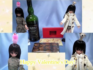 St_Valentines_2011_03f.jpg